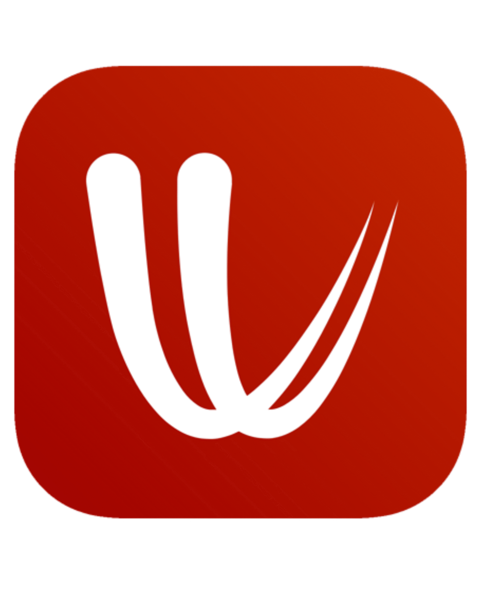 Copia De Copia De Copia De Copia De Copia De Diseno Sin Titulo 2 Scaled