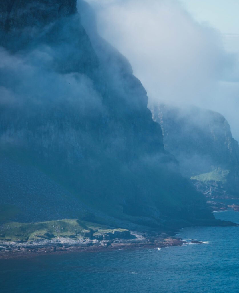 olympus digital camera olympus digital camera